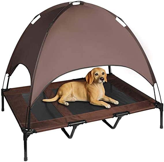5 Best Raised Dog Bed Options Australia (2021 Buyers Guide)