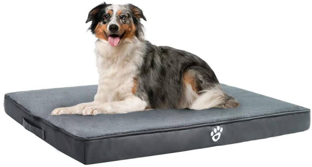 Best Large Dog Beds Australia Including XL, XXL & XXXL
