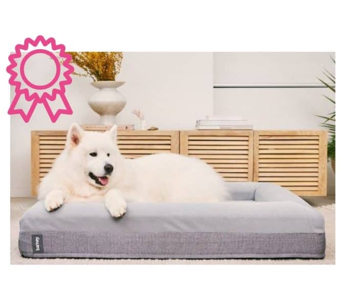 6 Best Crate Bed For Dogs (2021 Buyers Guide)