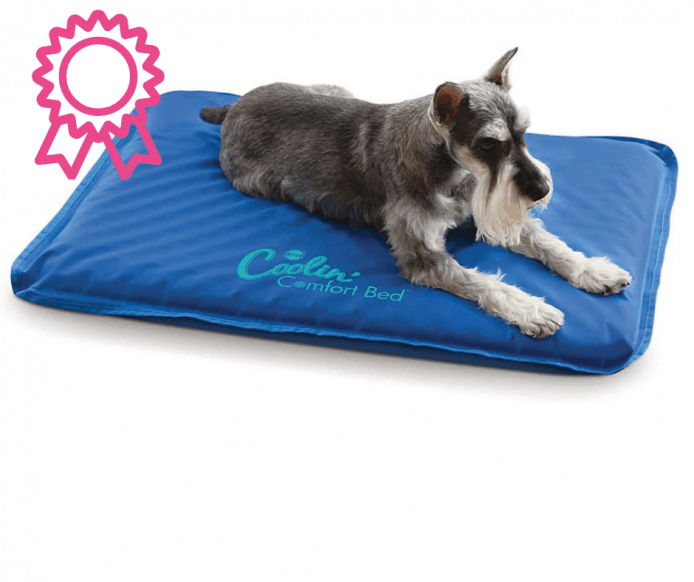 6 Best Dog Cooling Mat Options Australia (2021 Buyers Guide