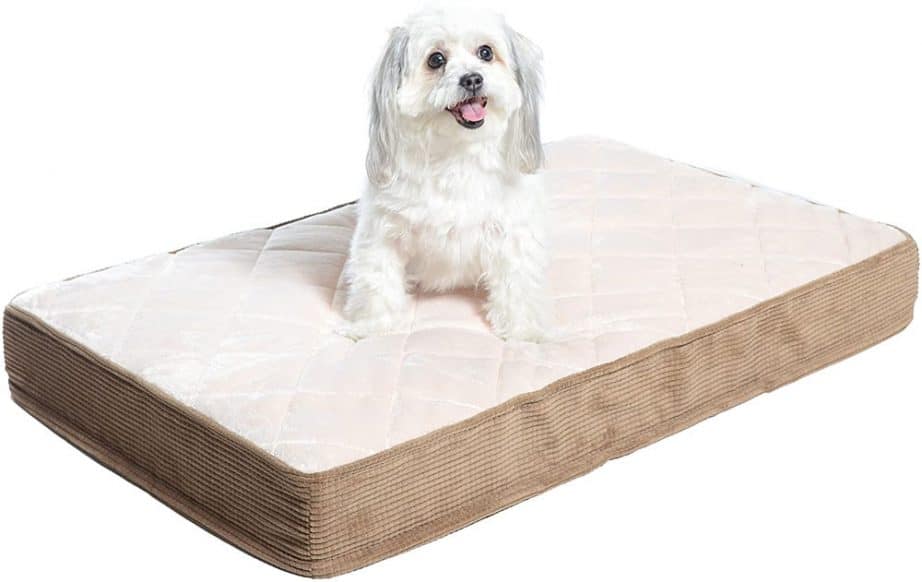 4 Best Great Dane Beds Australia (2021 Buyers Guide