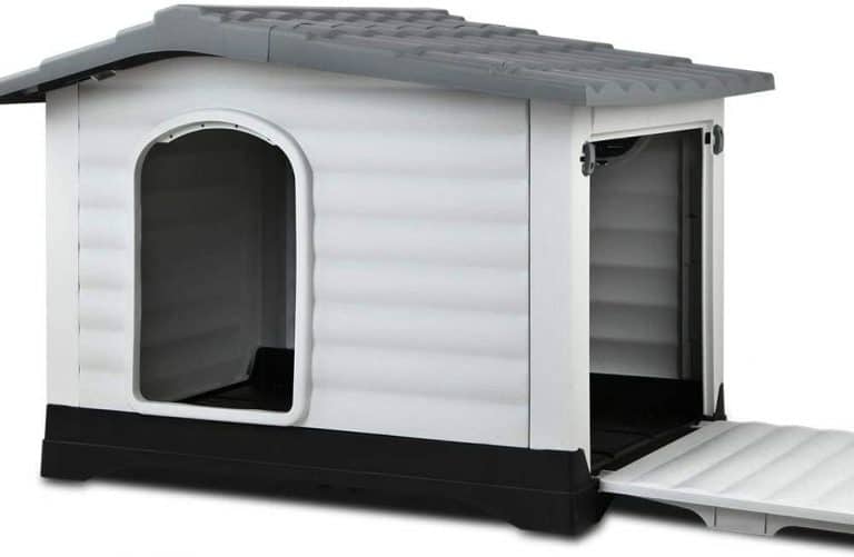 Best Dog Kennels (2021 Buyers Guide)