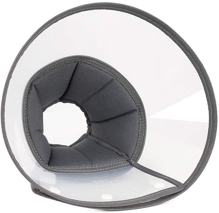 Best Dog Cone (2021 Buyers Guide)