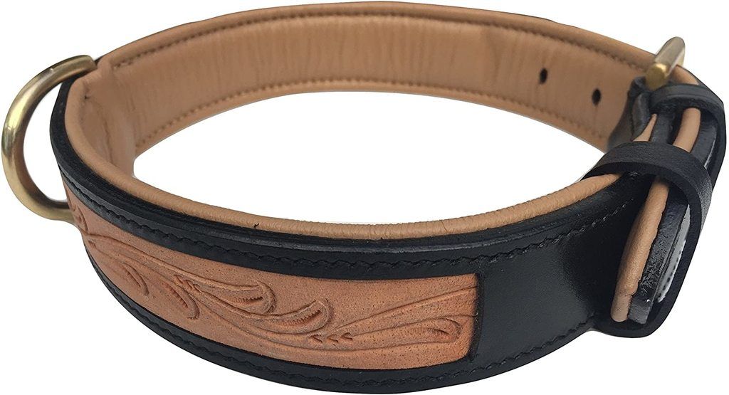 6 Best Leather Dog Collars Australia (2021 Buyers Guide