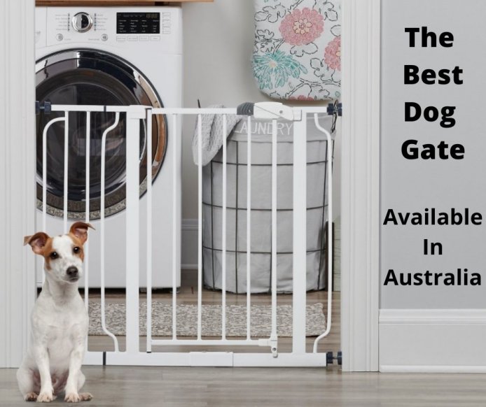 6 Best Dog Gate Options Australia (2021 Buyers Guide