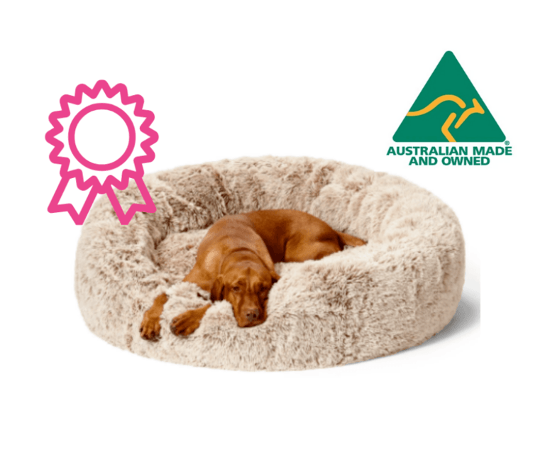 11 Best Dog Beds Australia (2021 Expert Guide)