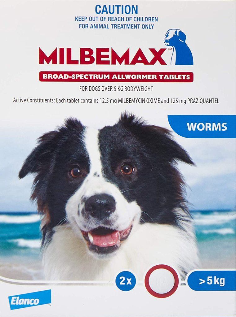 8 Best Dog Worming Tablets Australia (2021 Buyers Guide