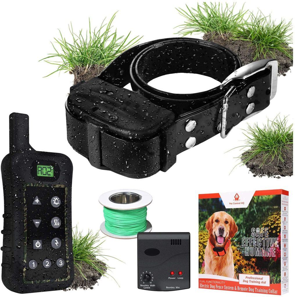 Best Electric Dog Fence Australia (2021 Buyers Guide