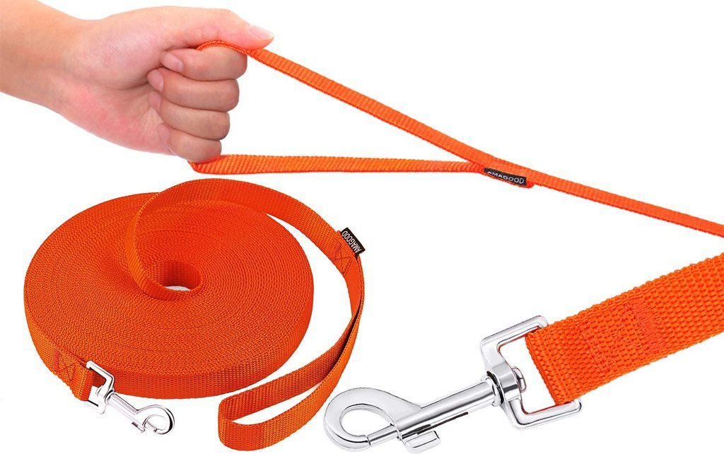Best Dog Leash Australia (2021 Buyers Guide)