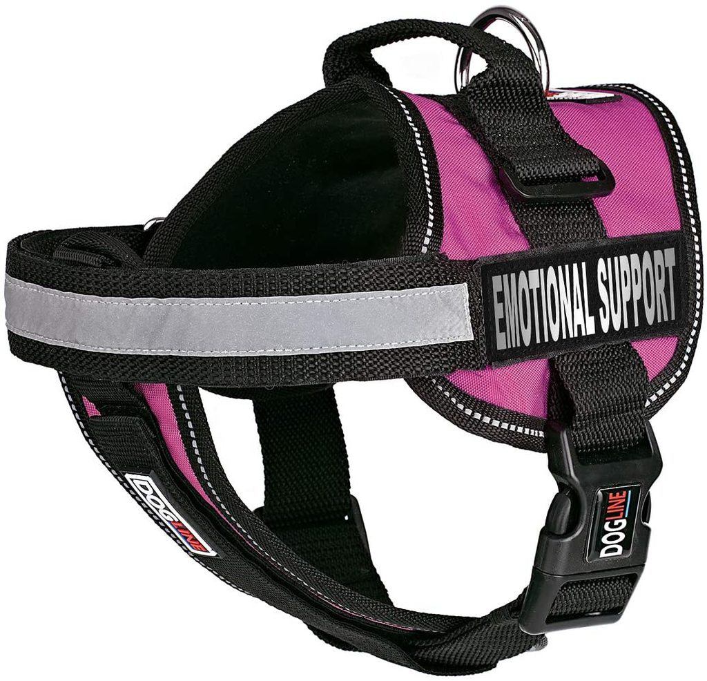 Best Service Dog Vest (2021 Buyers Guide)