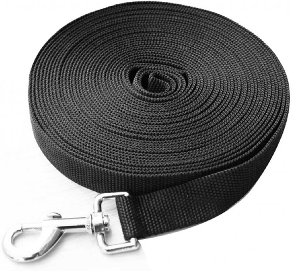 Best Long Dog Leads Australia (2021 Buyers Guide) gentledogtrainers