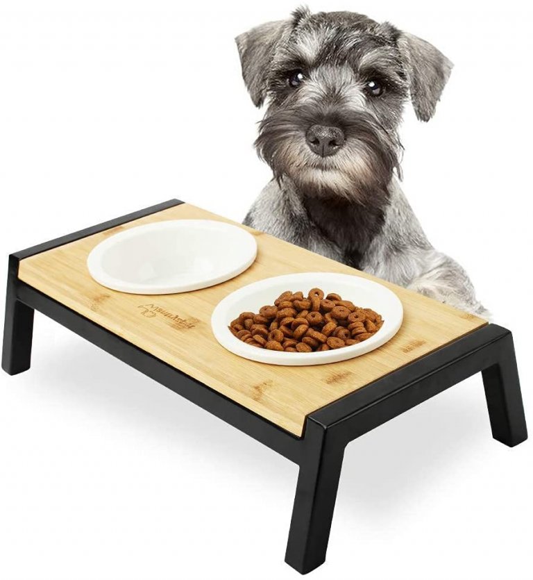 Best Dog Bowl Stand Australia (2021 Buyers Guide) gentledogtrainers