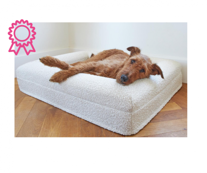 8 Best Memory Foam Dog Beds Australia (2021 Buyers Guide