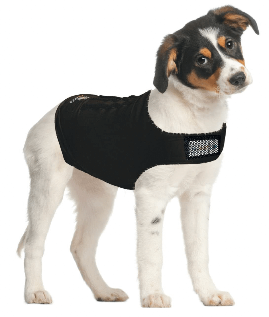 The 6 Best Thunder Jackets For Dogs Australia Tested 2024