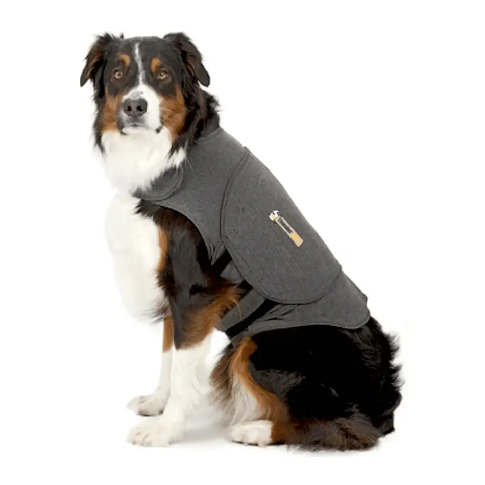 The 6 Best Thunder Jackets For Dogs Australia Tested 2024