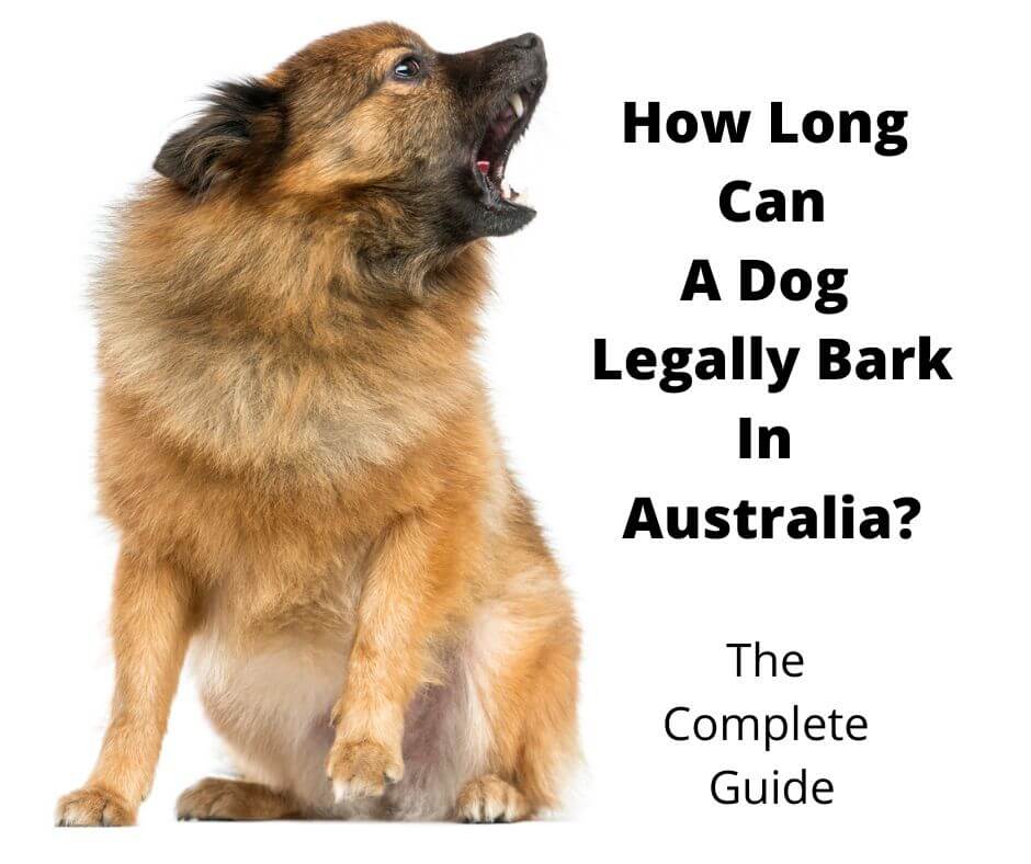Practical solutions to stop or reduce barking